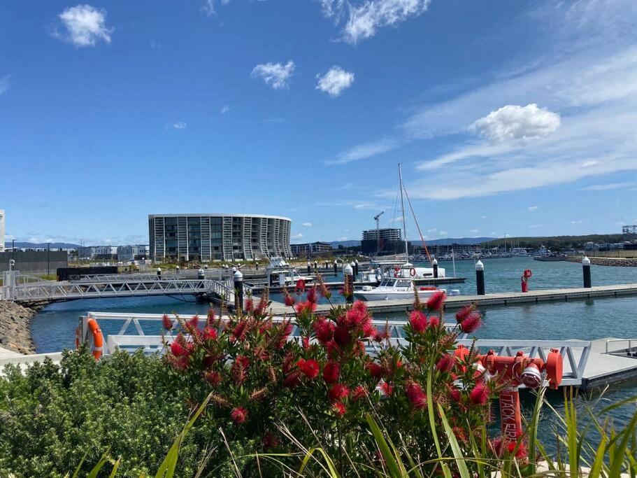 Marina View Comfy Ensuite Room With Private Host and Dogs SOLO Guest Only