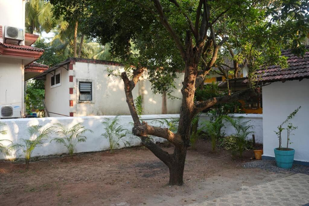 2nd Innings Calangute Private view 4