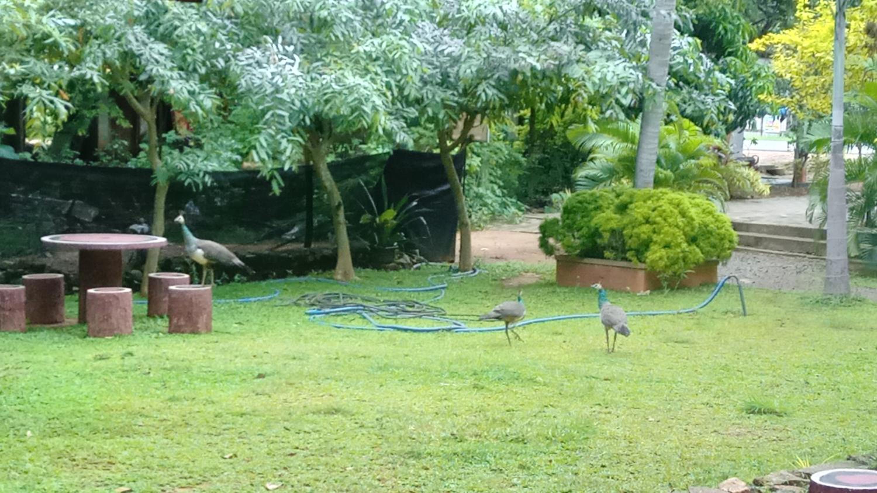 Harambathenna Resort Anuradhapura