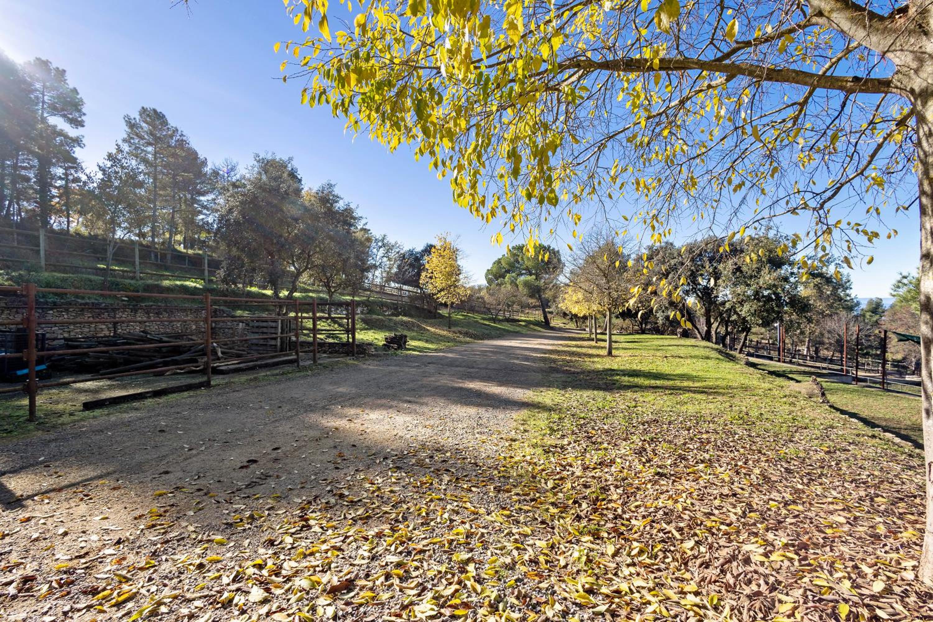 Masia Rural Equus