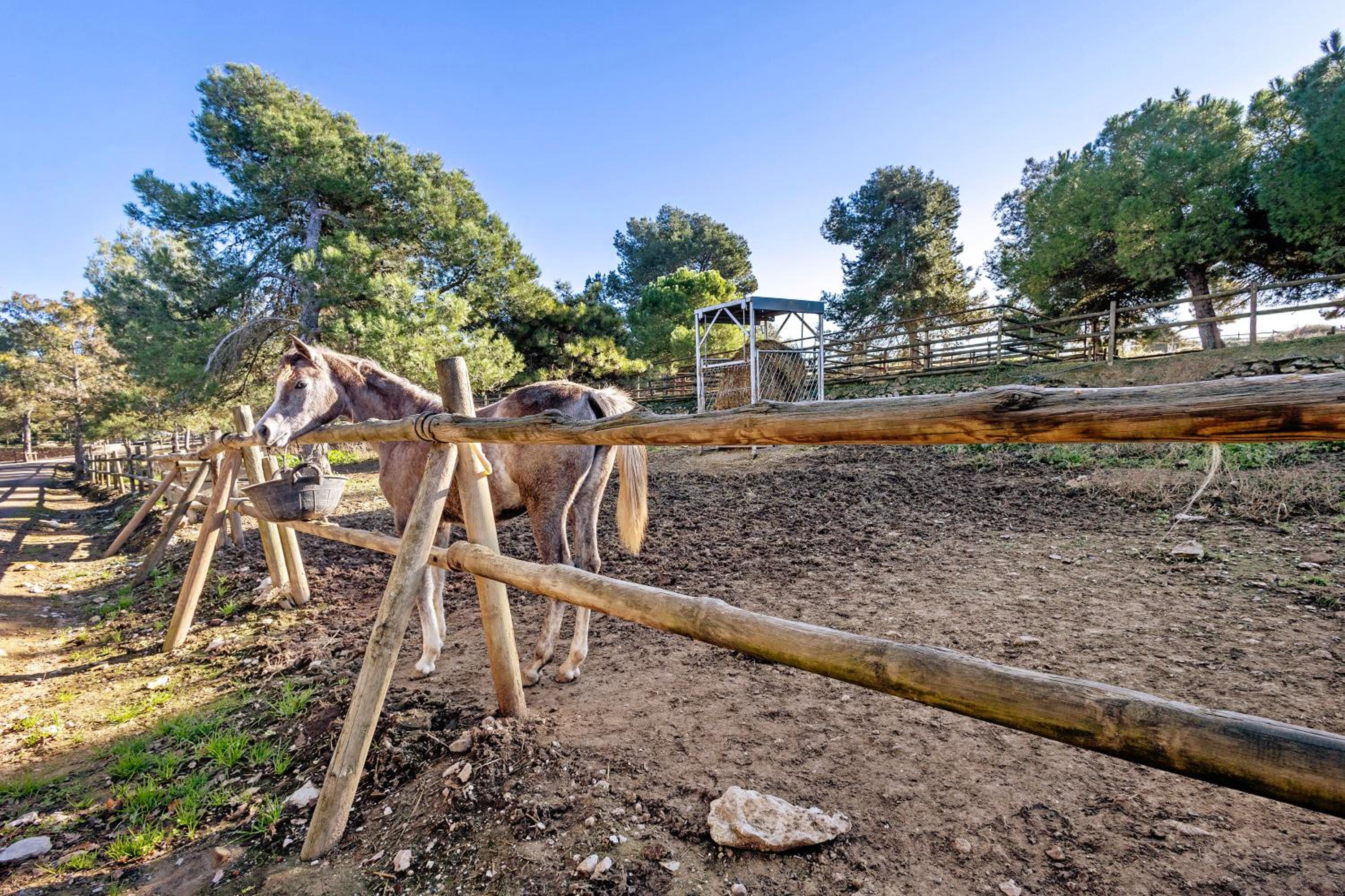 Masia Rural Equus