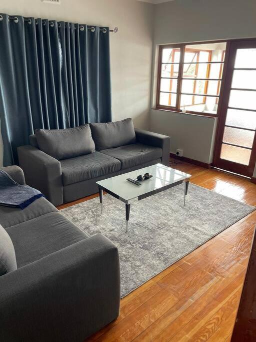Clarendon Bright Apartment view 2