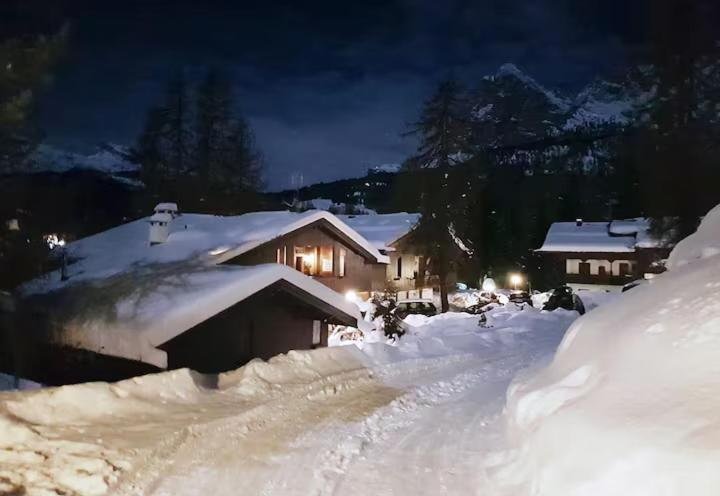 APARTMENT - Ski in&out-accesso diretto alle piste view 3