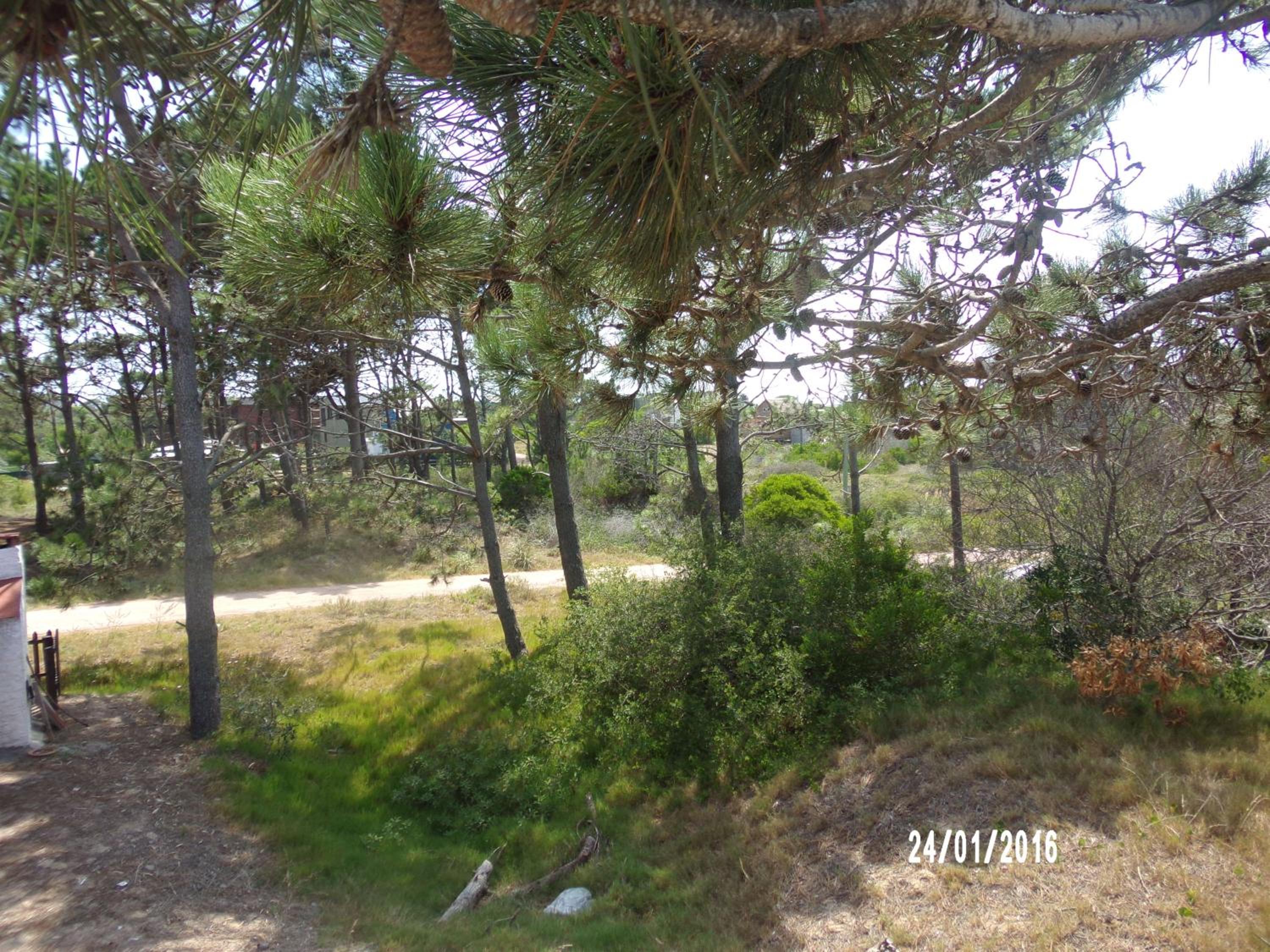Photo 45