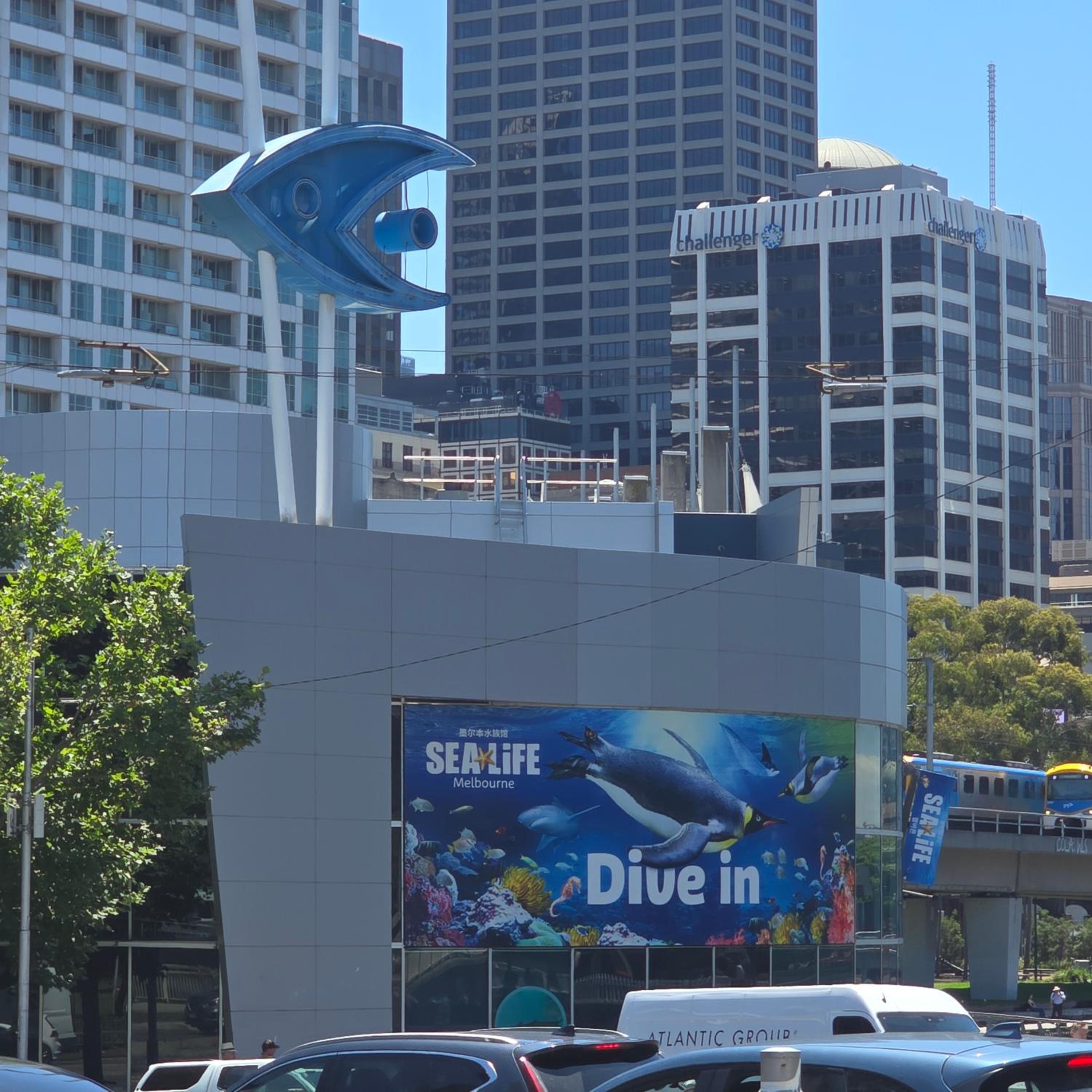 Pristine on Flinders
