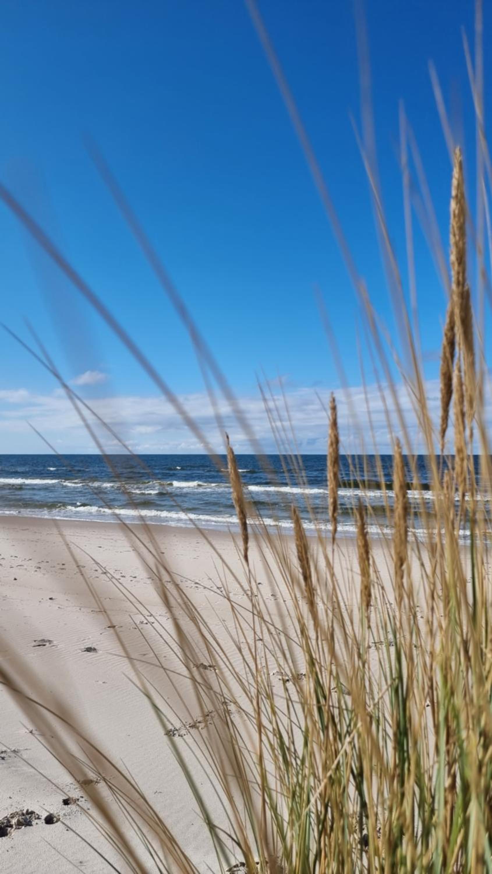 POSESJA APARTAMENTY & SPA - Posesja Plażowa 4a II