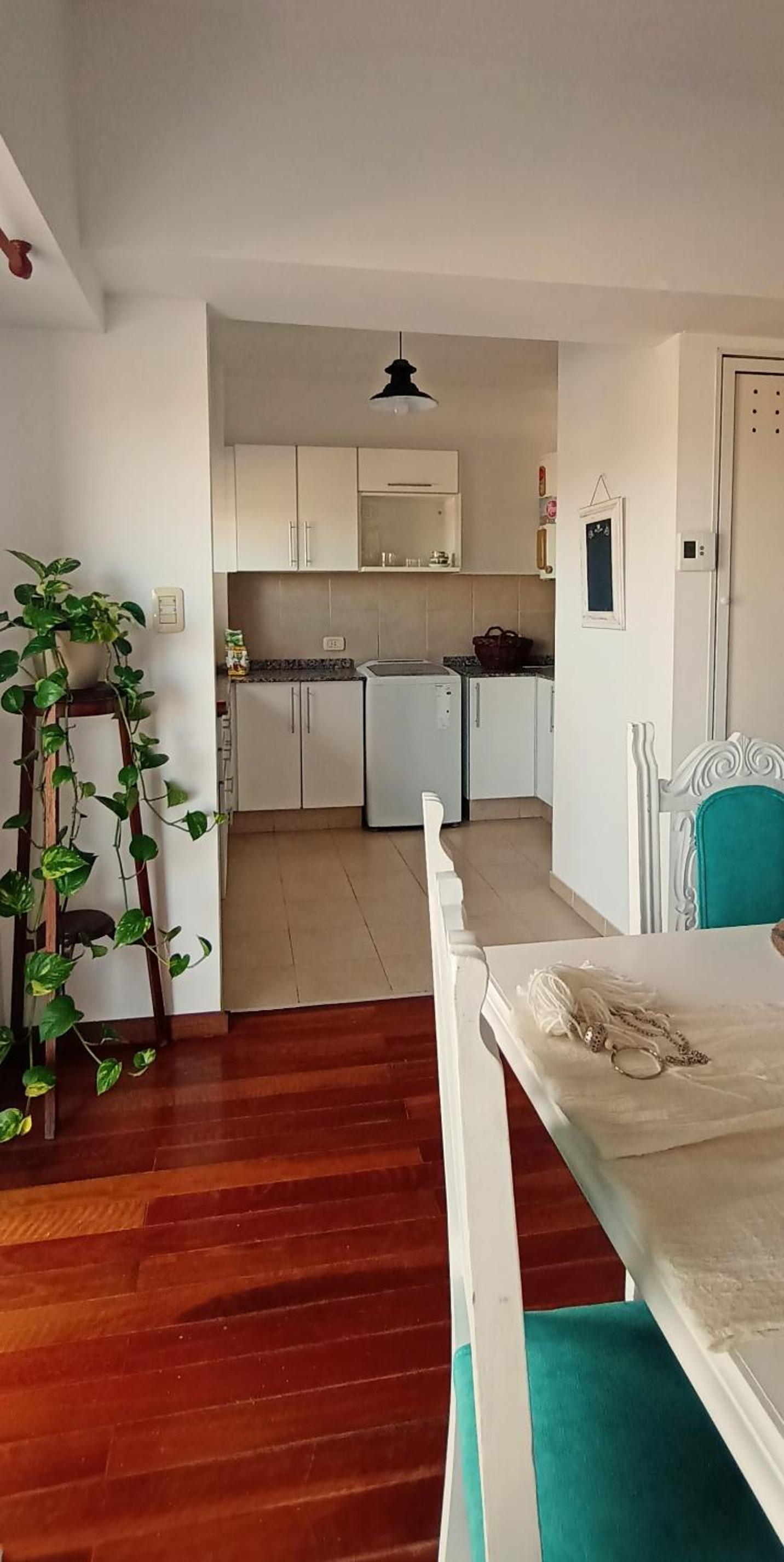 Departamento centrico con vista al rio