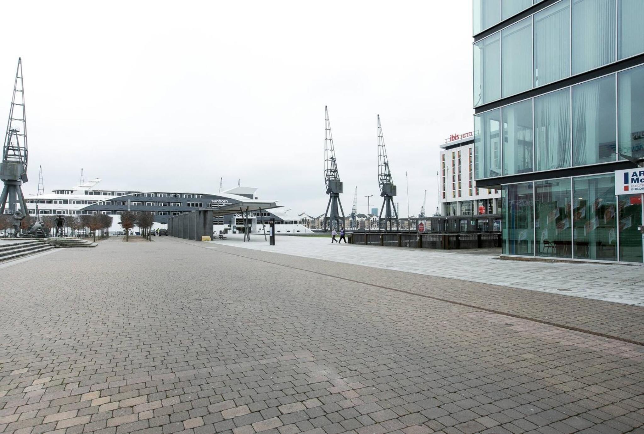 Wild Roses Serviced Apartments - ExCel Warehouse 1