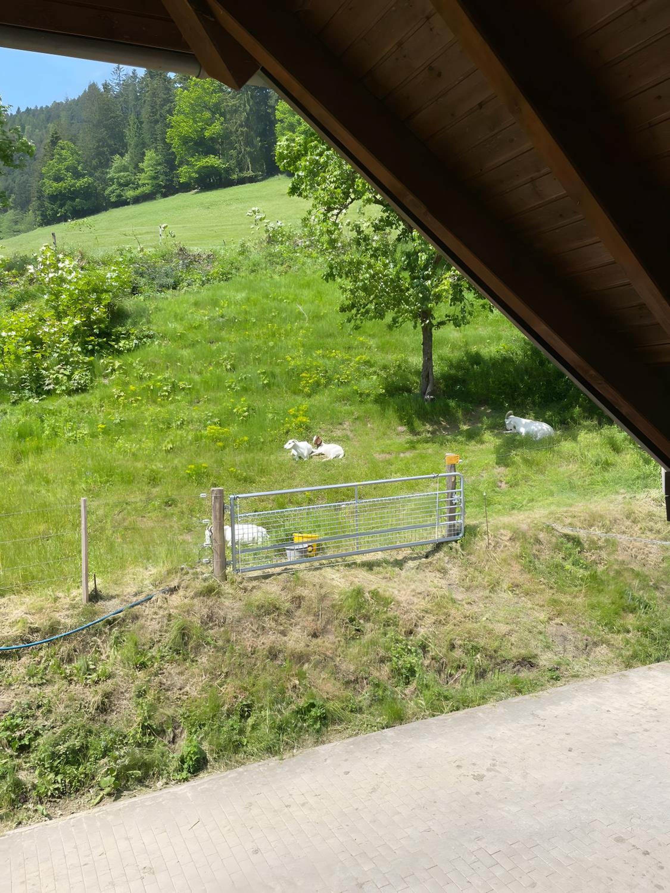 Hugenhof