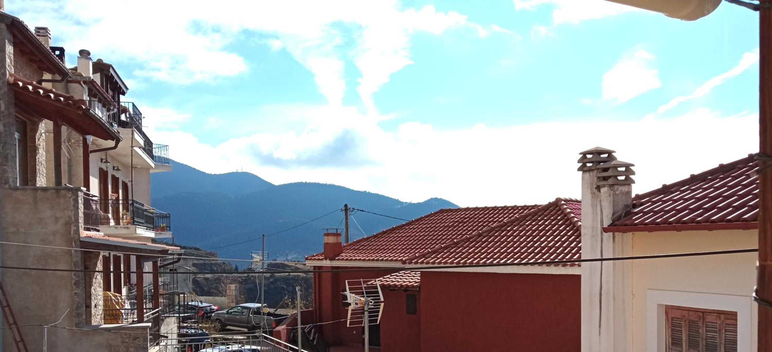 ORHIDEA Petit Room view 3