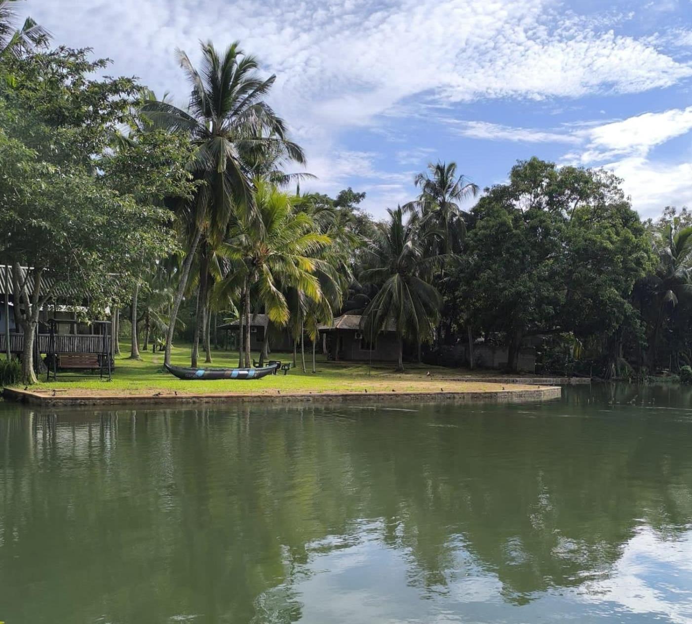 Yonan River Face Safari Resort view 2