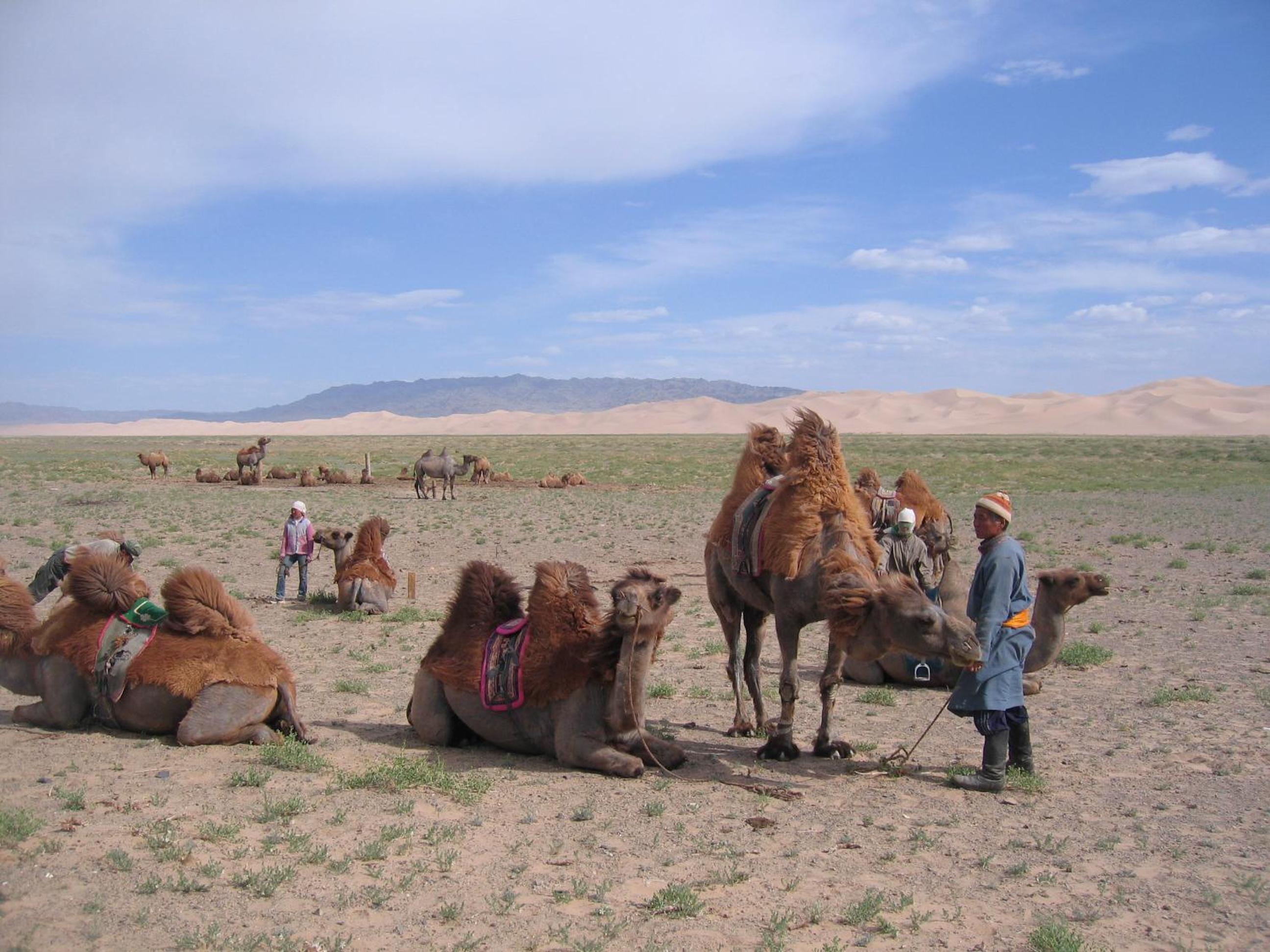 UB Guesthouse & Tours - not for locals view 5
