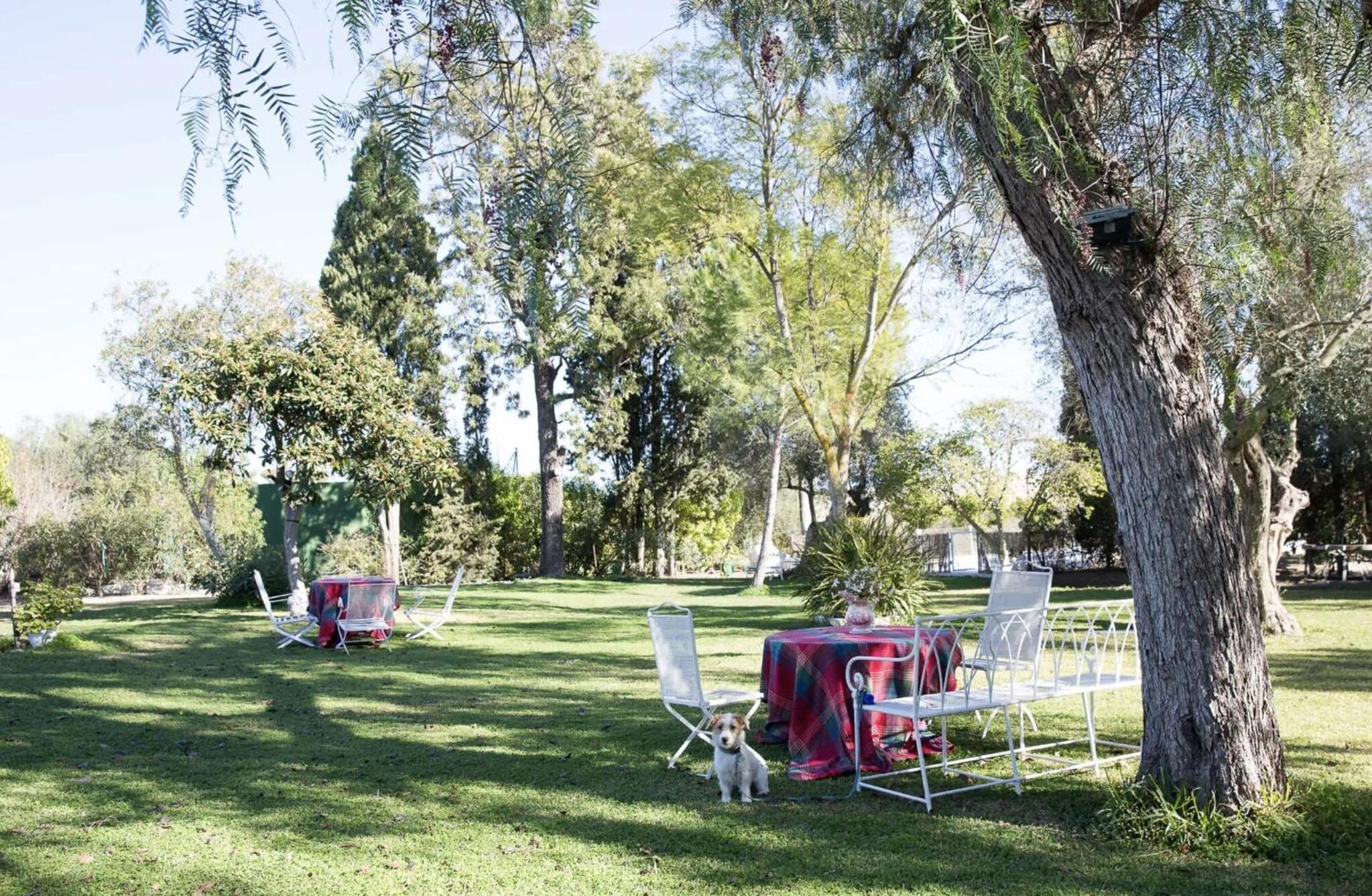 Cortijo Rural La Mariscala