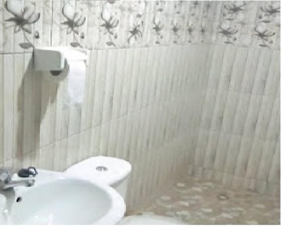 Executive Apartment