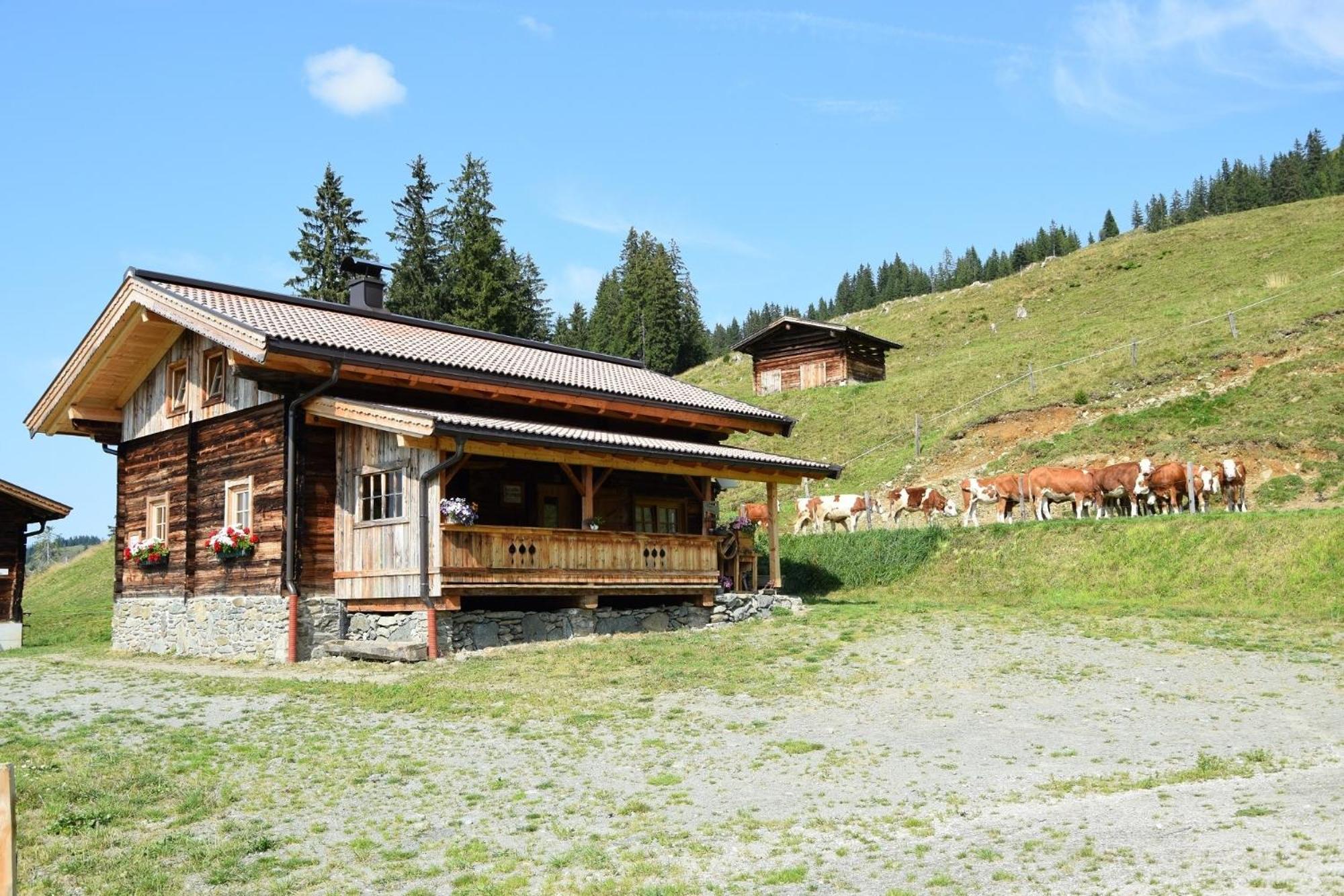 Romantische Almhütte in Alleinlage Feldalphorn by FeWo-Plan WILD606