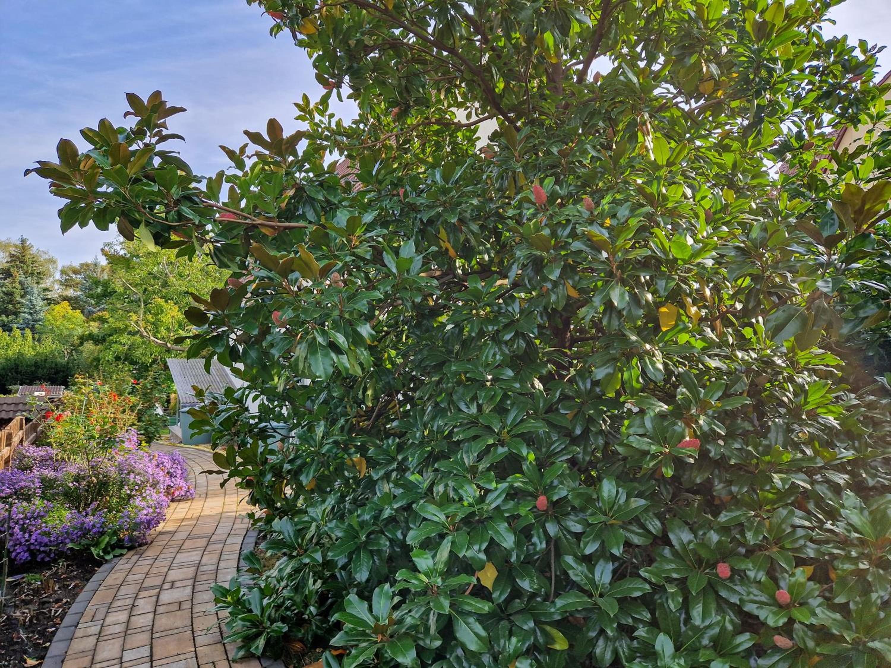 Dresden Vacations - Dresden, Ferienhaus Strietzel - Property Image 4