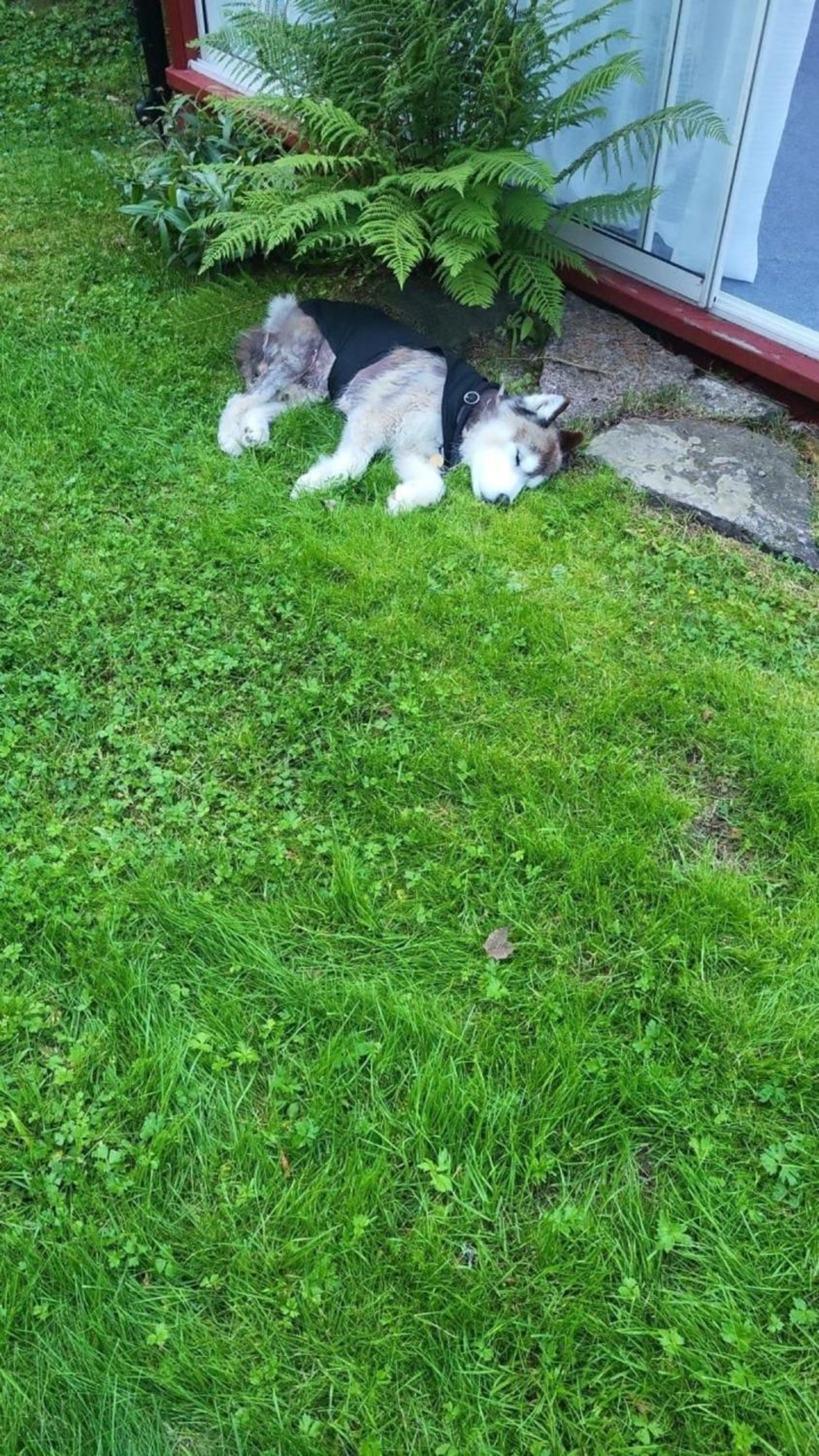 Photo 21
