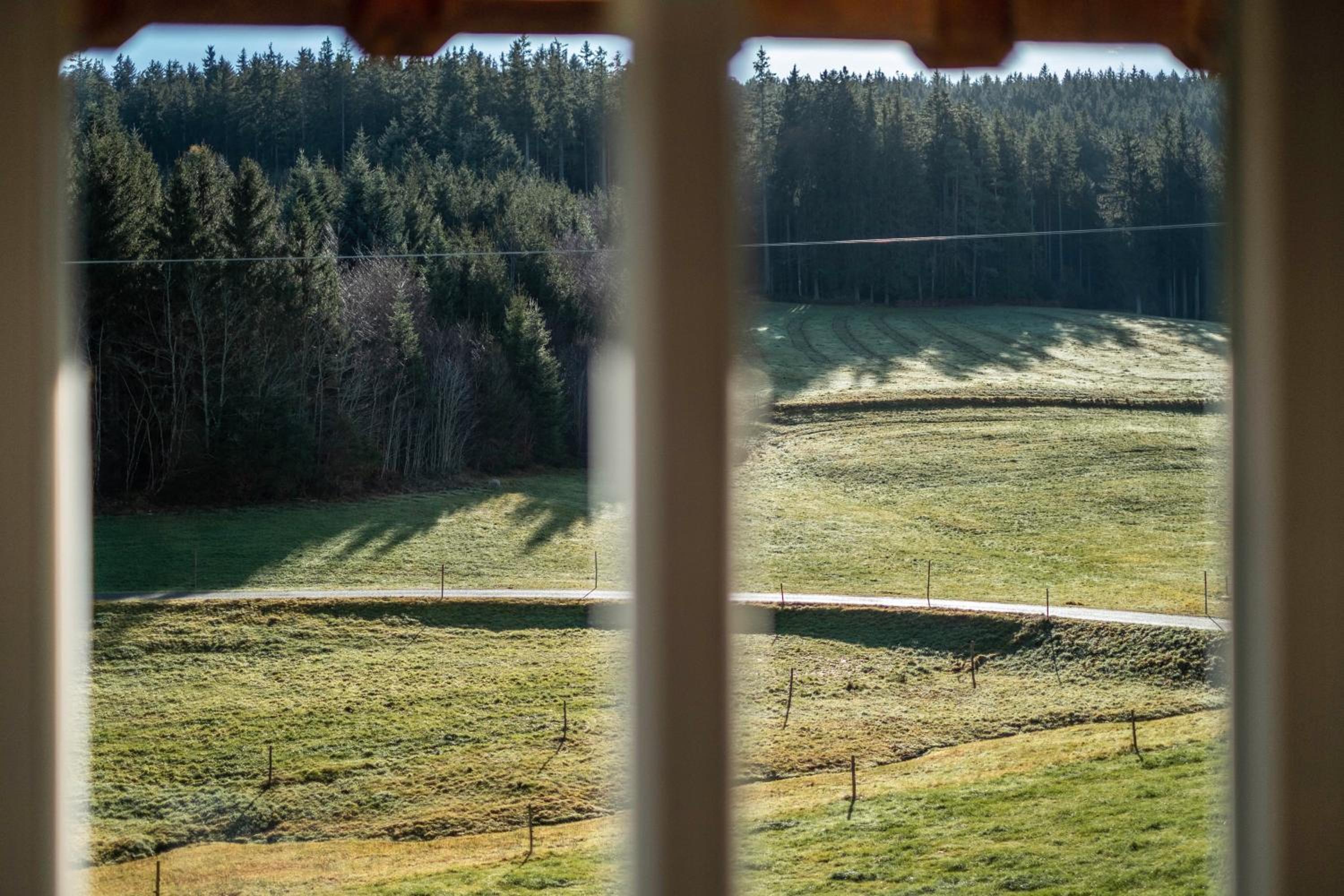 Zuckerbauernhof Unterkunft mit Hund