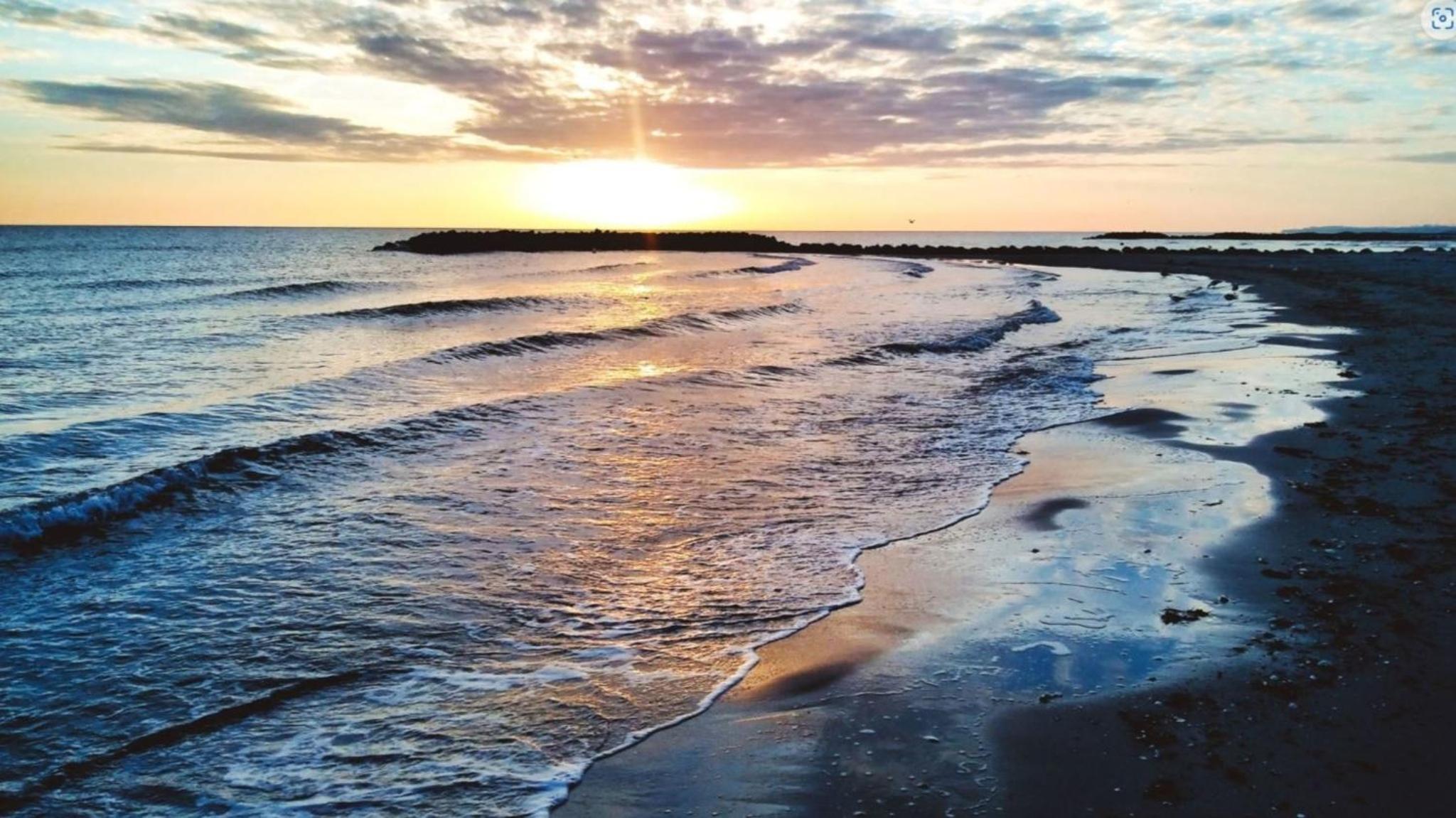 Fewo Zwergseeschwalbe - Ostsee at its best!