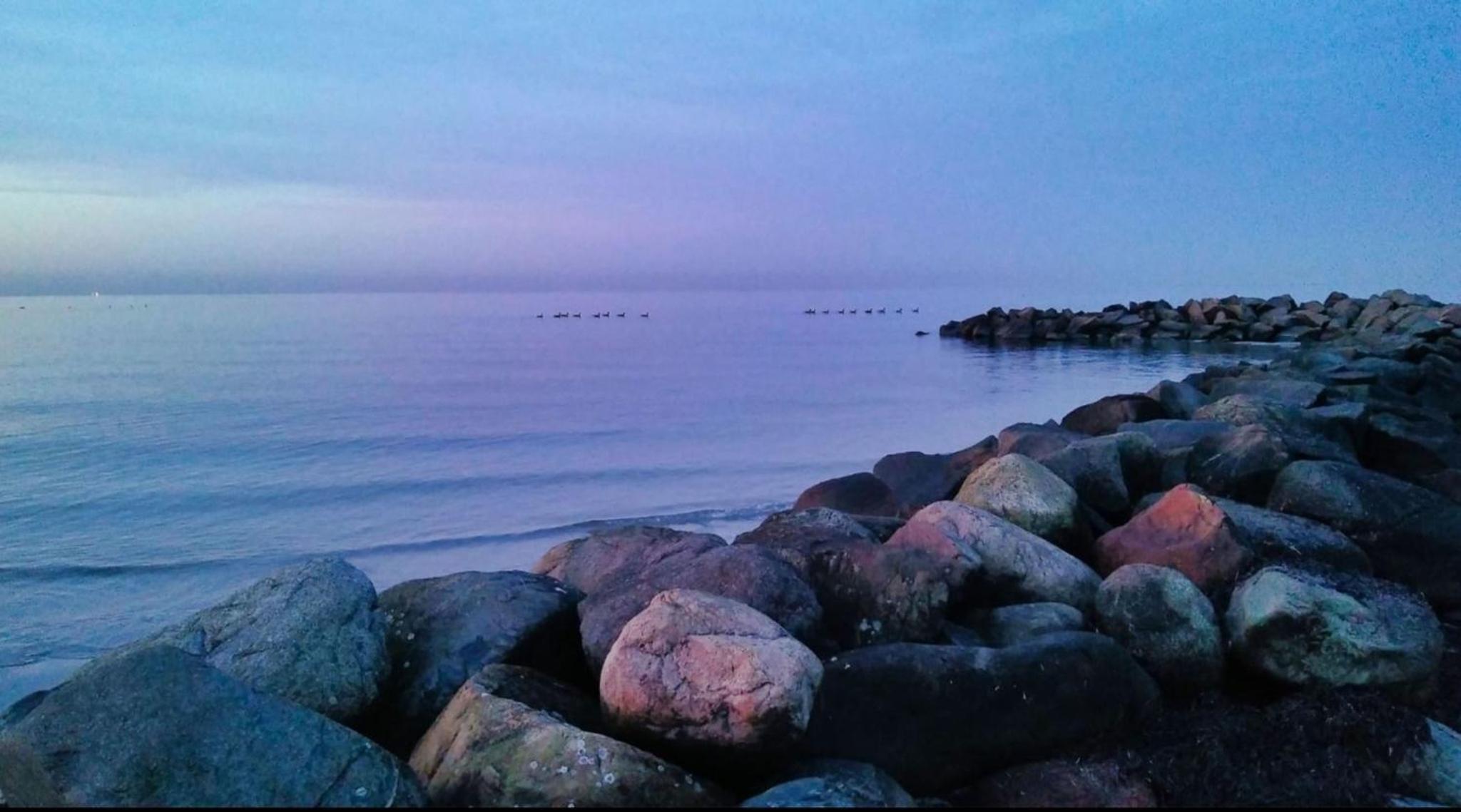 Fewo Zwergseeschwalbe - Ostsee at its best!