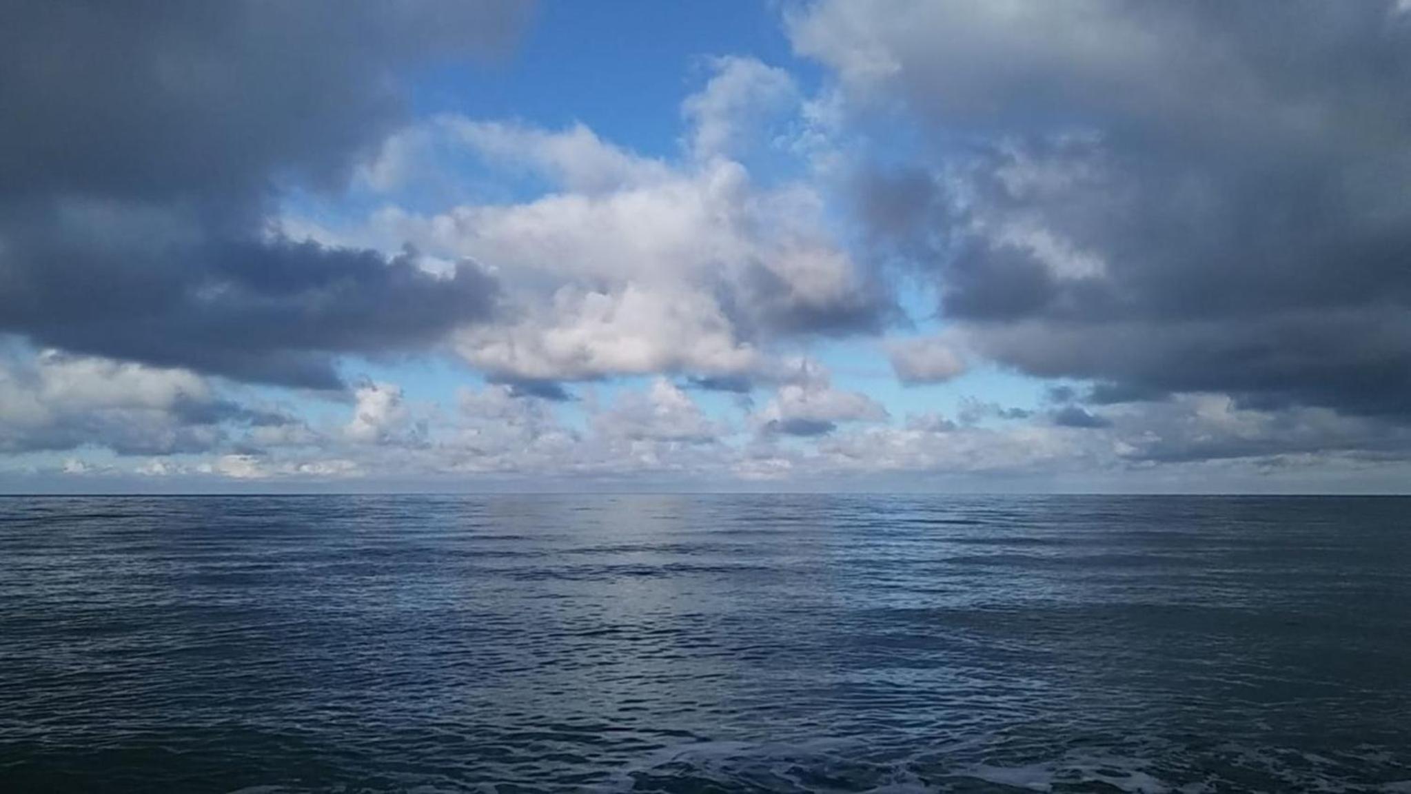 Fewo Zwergseeschwalbe - Ostsee at its best!