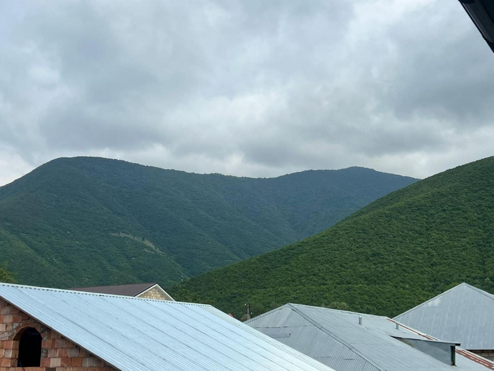 Yerli Xarici Qonaqlara