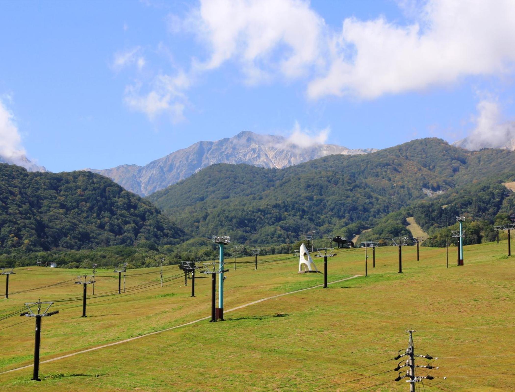 Hakuba Tsugaike Sunrise Tanne