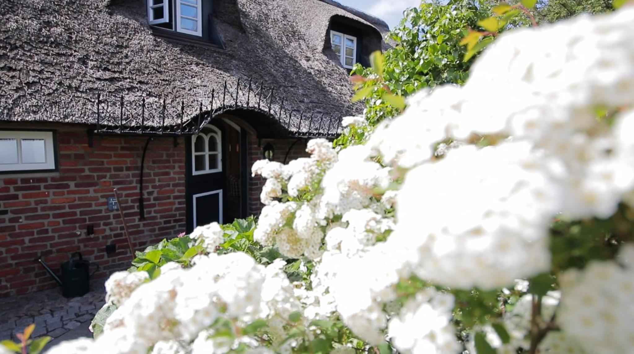 Sütjers Hüs - großes Nest