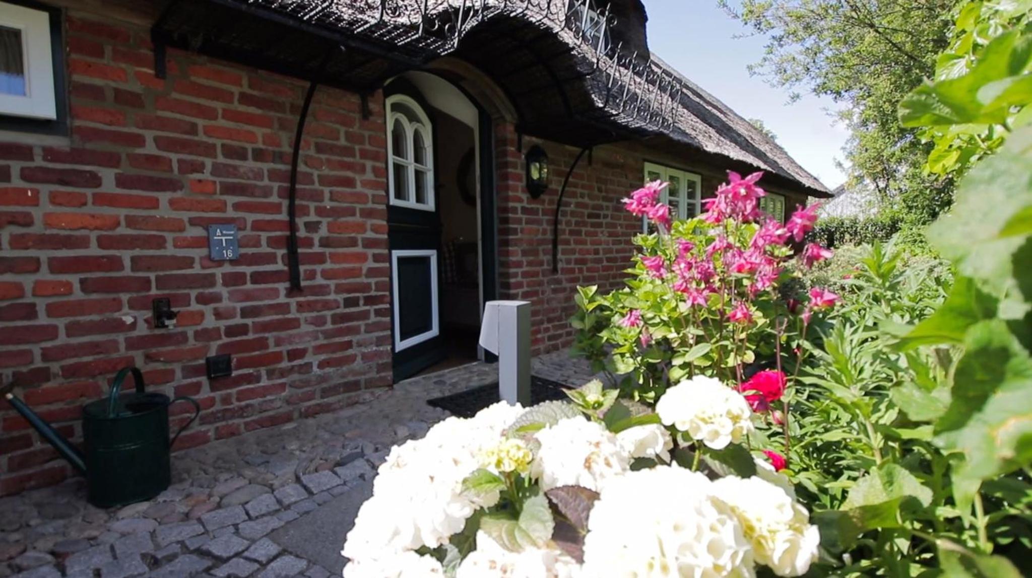 Sütjers Hüs - großes Nest
