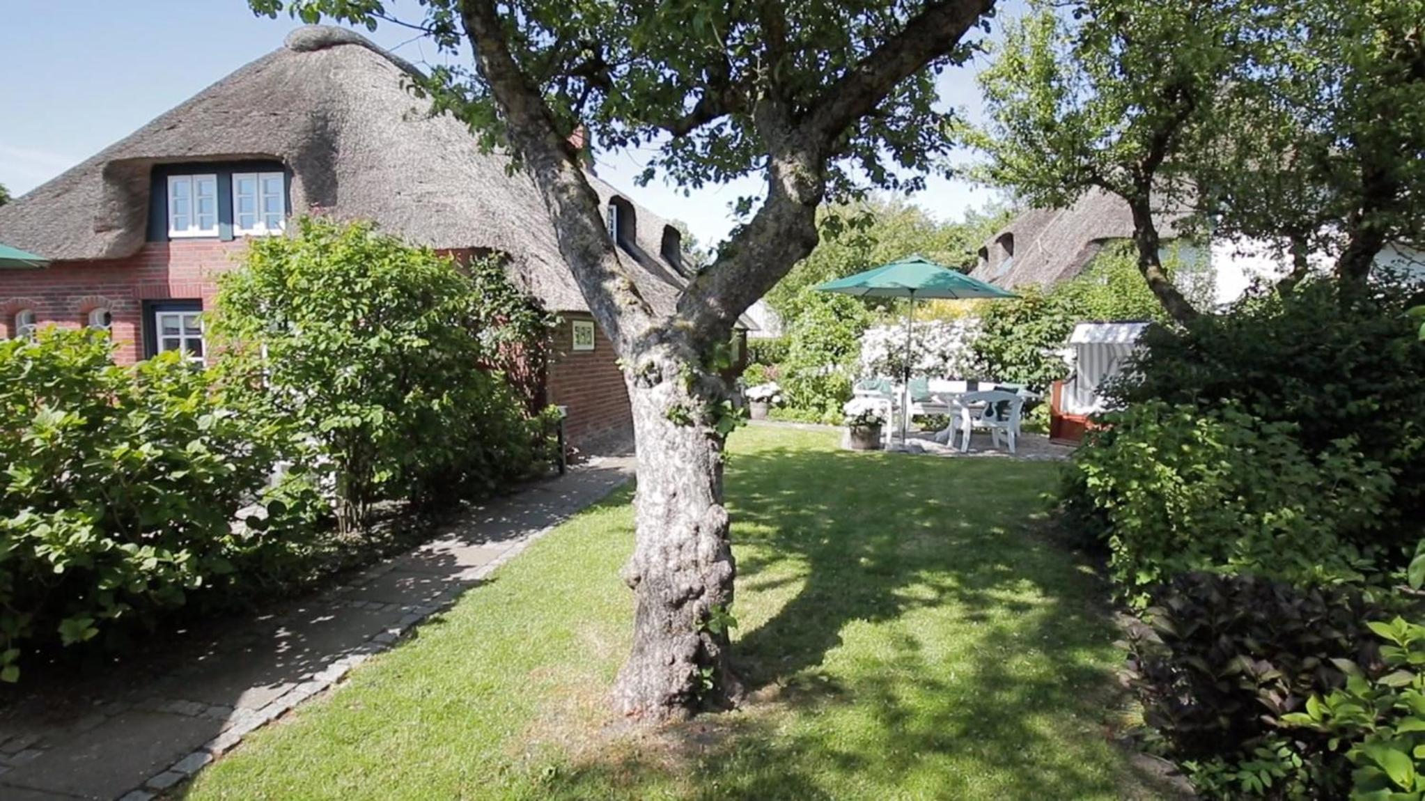 Sütjers Hüs - großes Nest