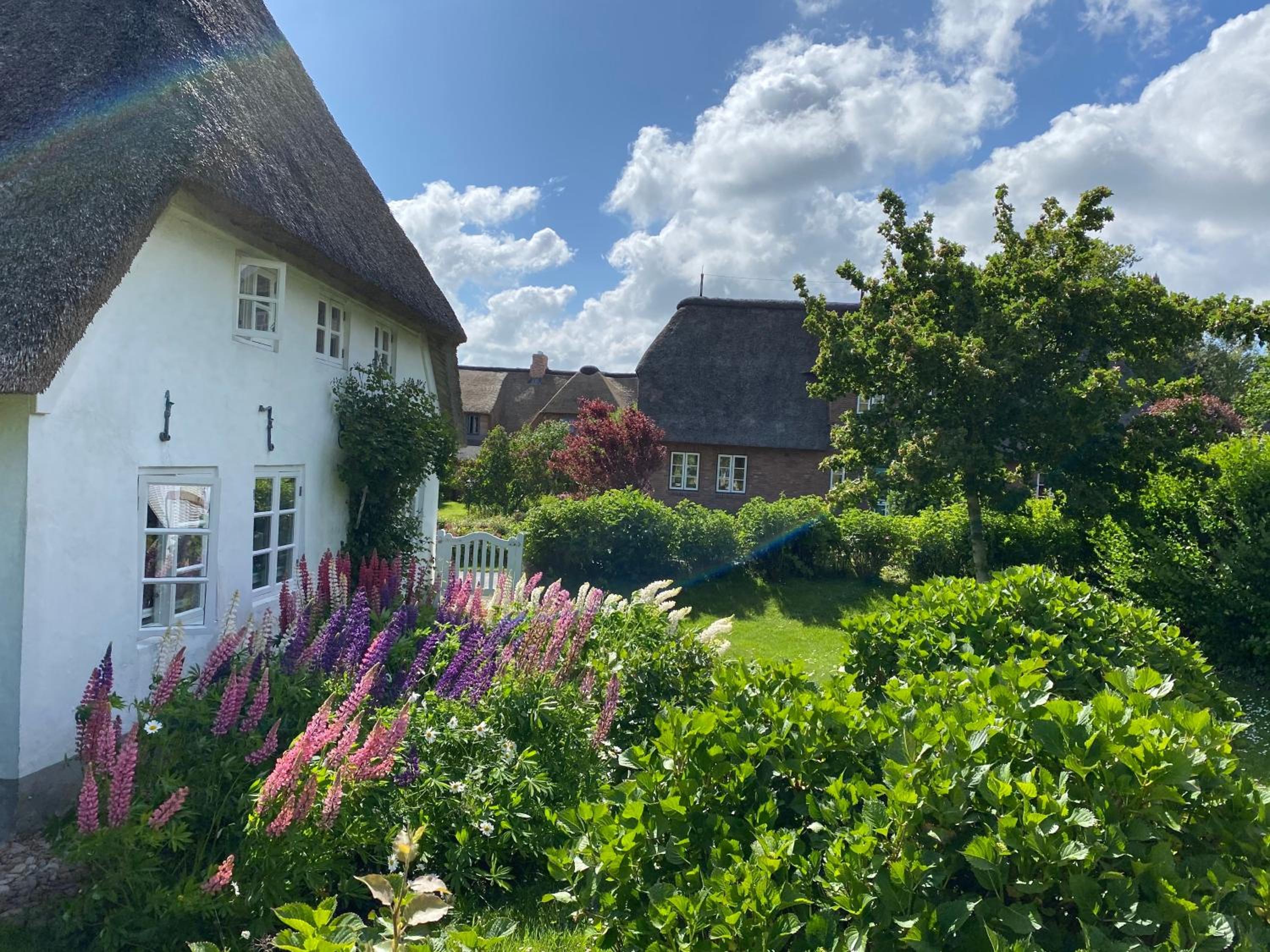 Haus Oevenum