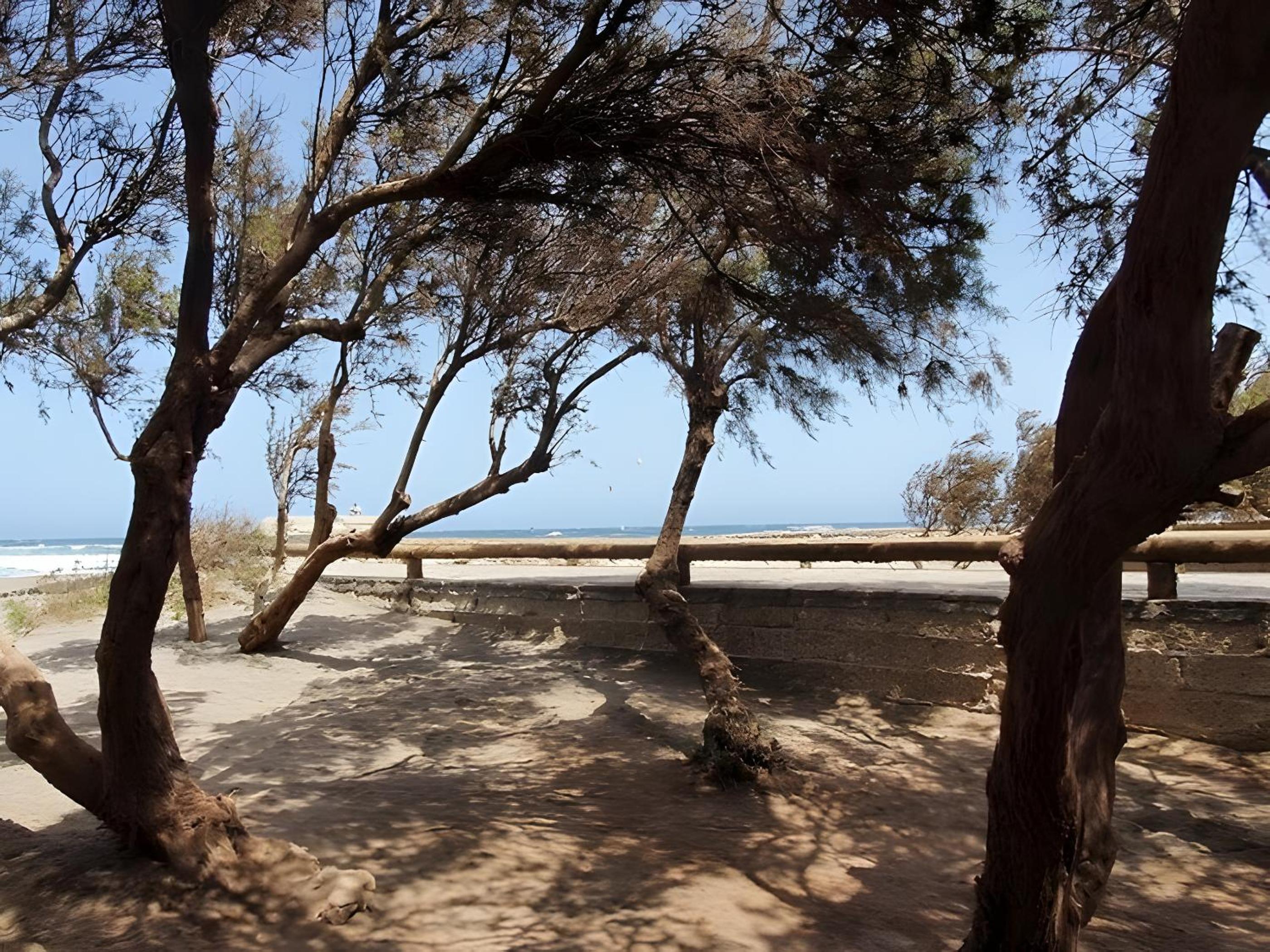 Medano Beach Agüita Salada Suites
