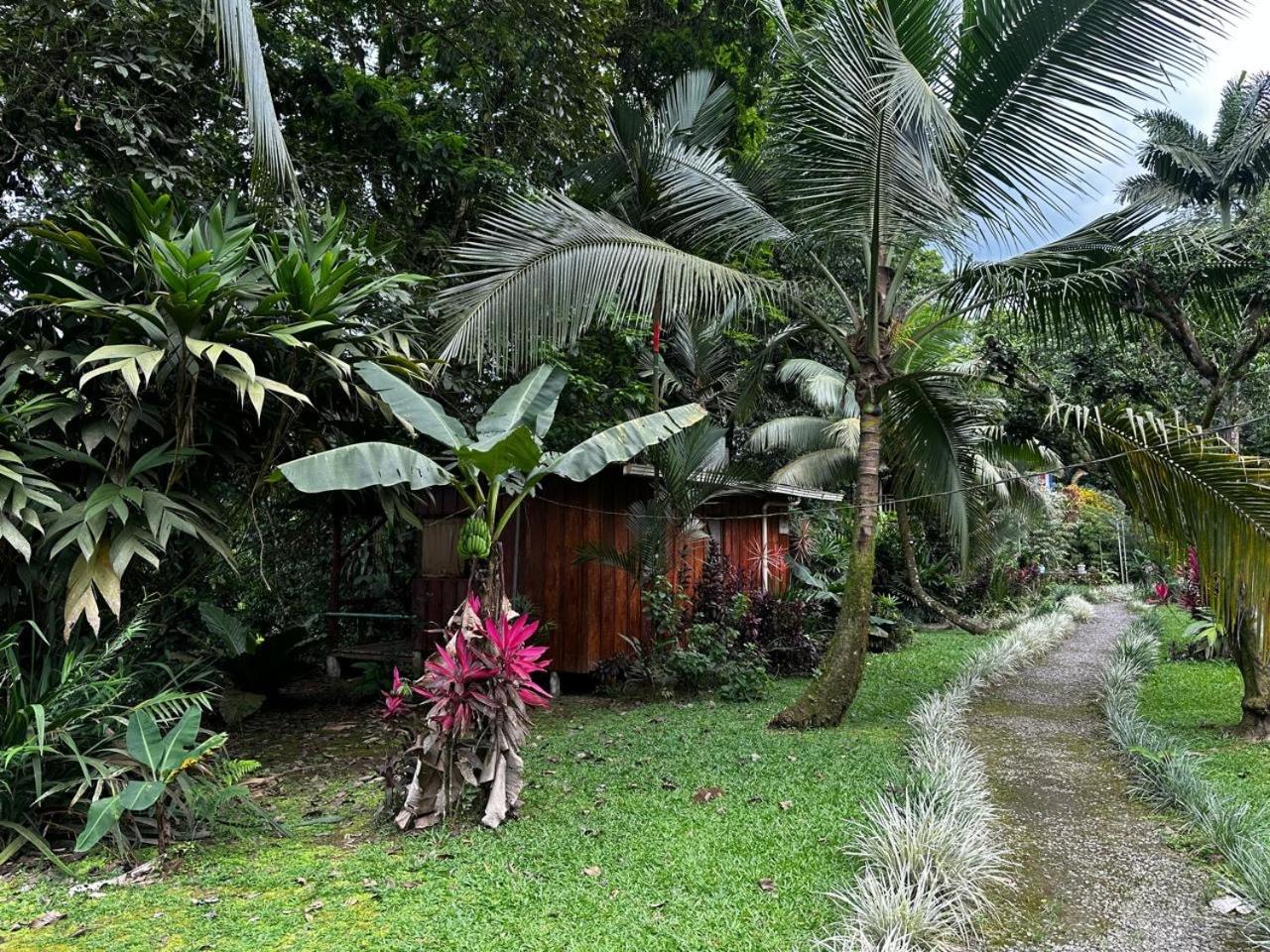 Casa Rio Blanco Eco Friendly B&B