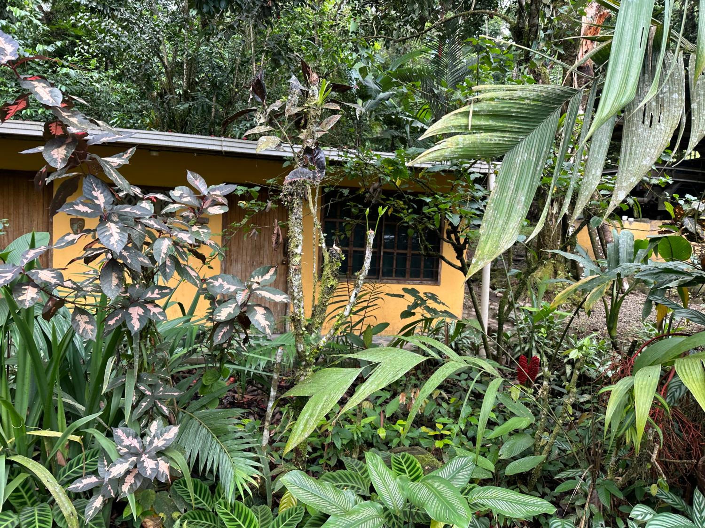 Casa Rio Blanco Eco Friendly B&B