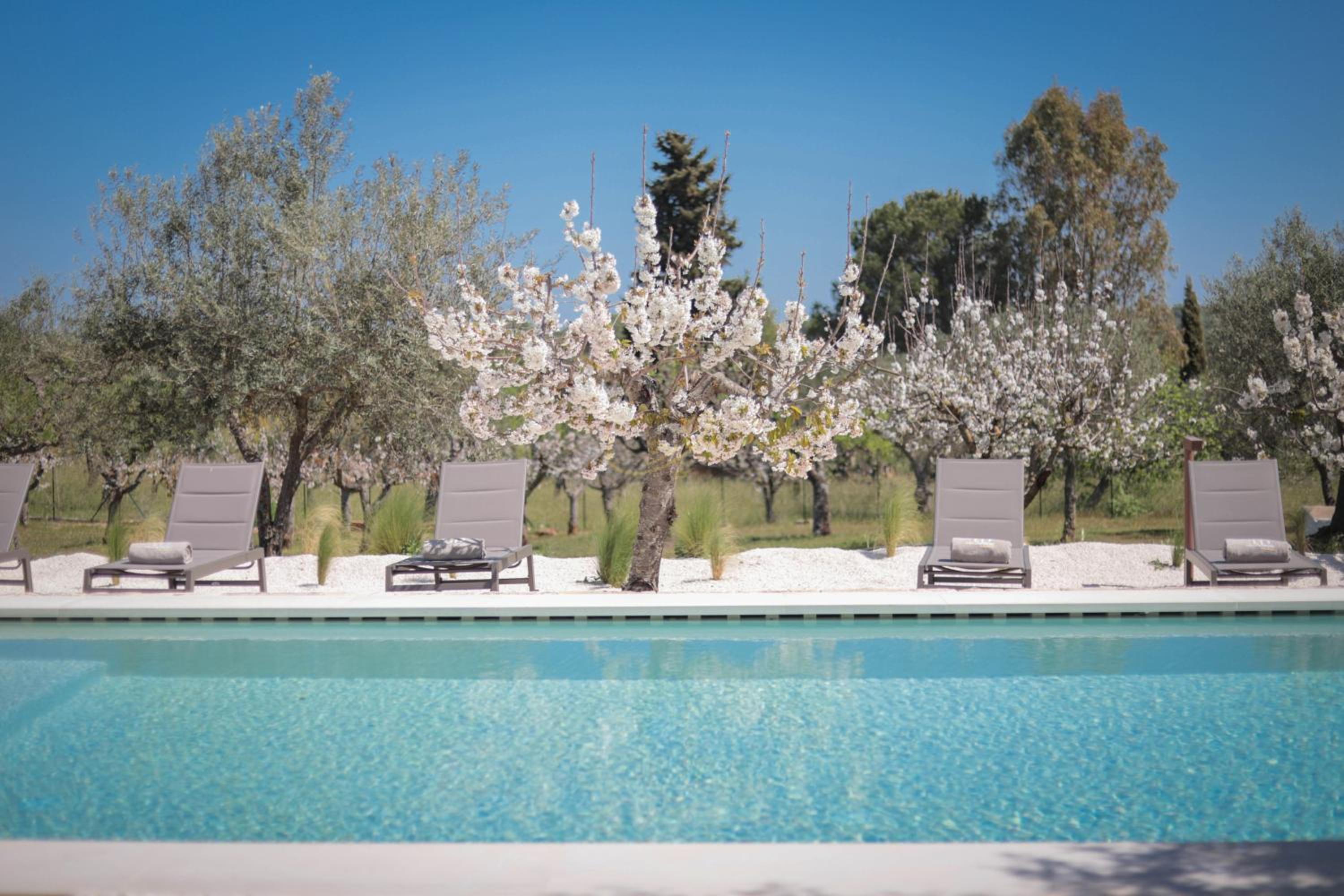 TD Marlù Luxury Trulli Experience wStunning Pool view 2