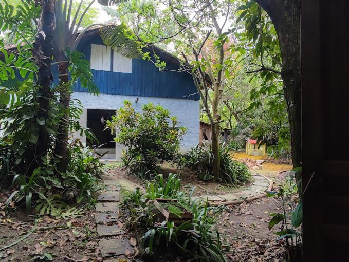 Alto do Guapuruvu