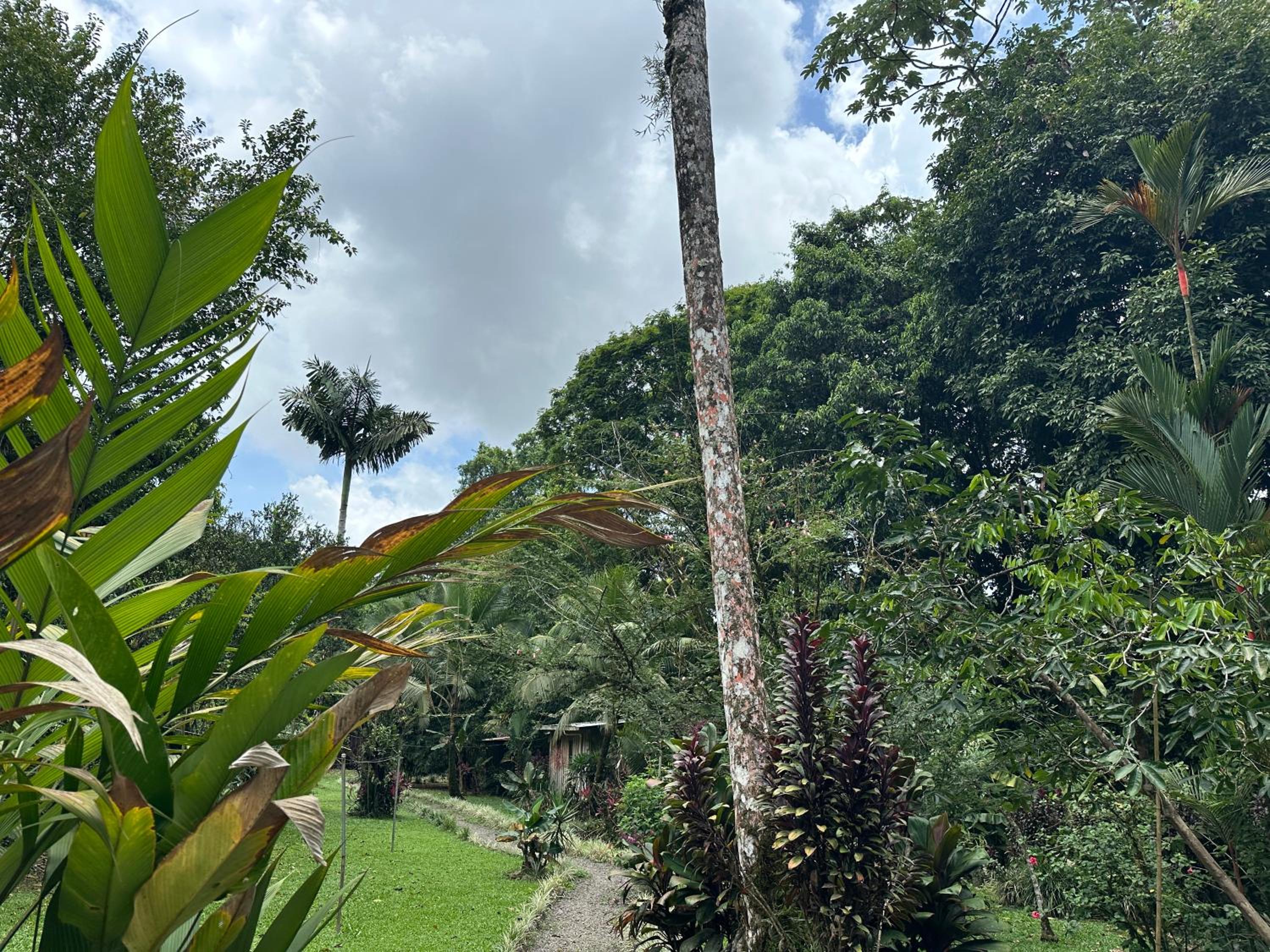 Casa Rio Blanco Eco Friendly B&B