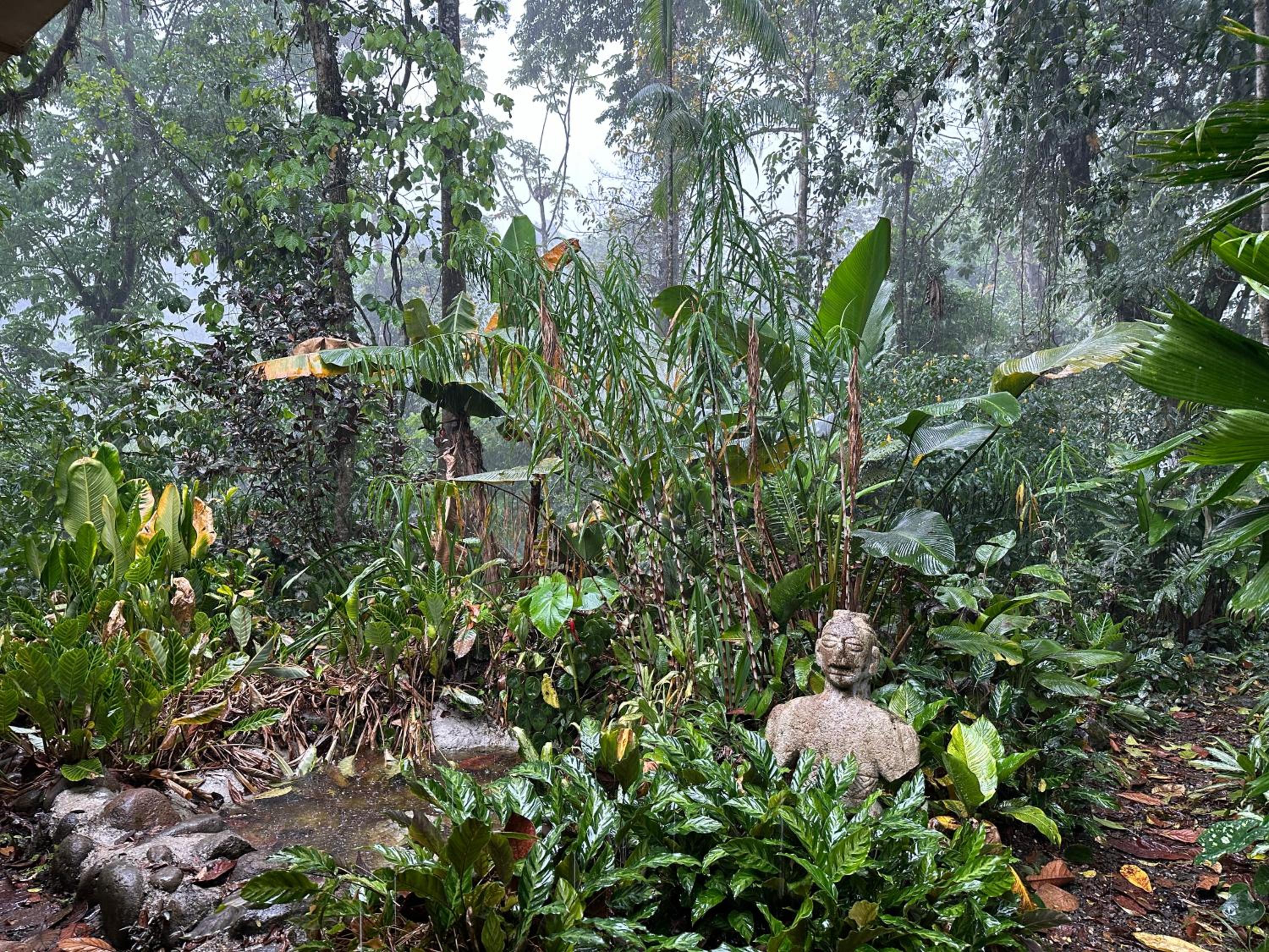 Casa Rio Blanco Eco Friendly B&B