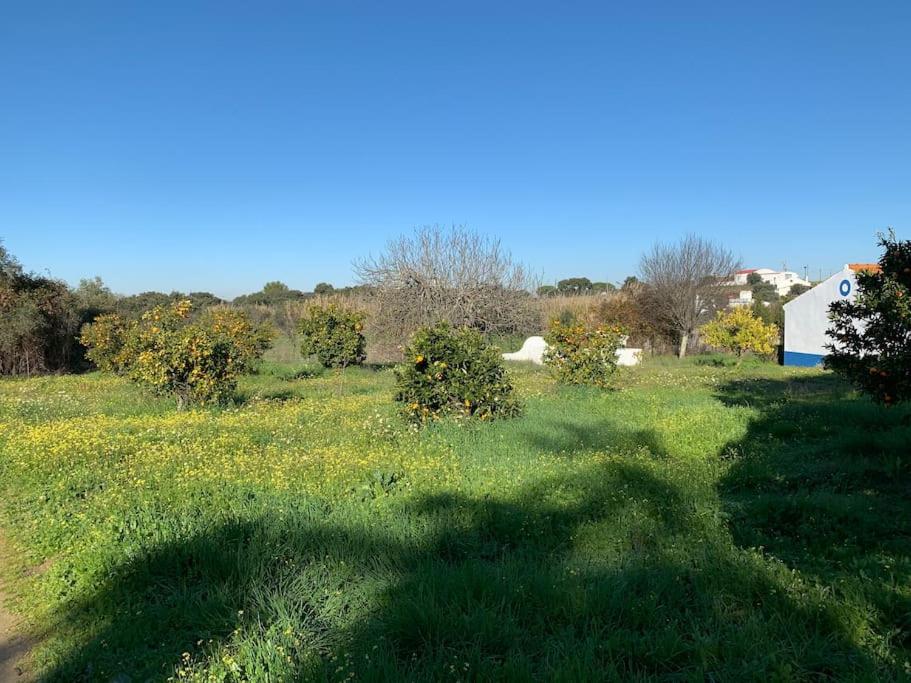 Country house Arraiolos Alentejo view 2