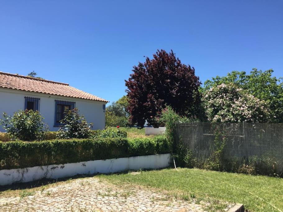 Photo 24