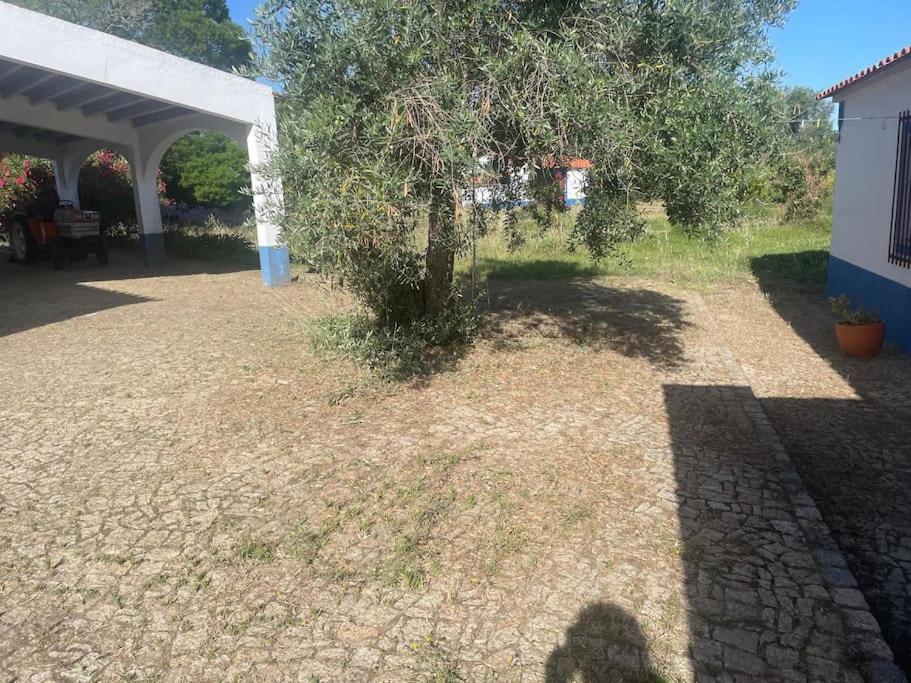 Photo 44