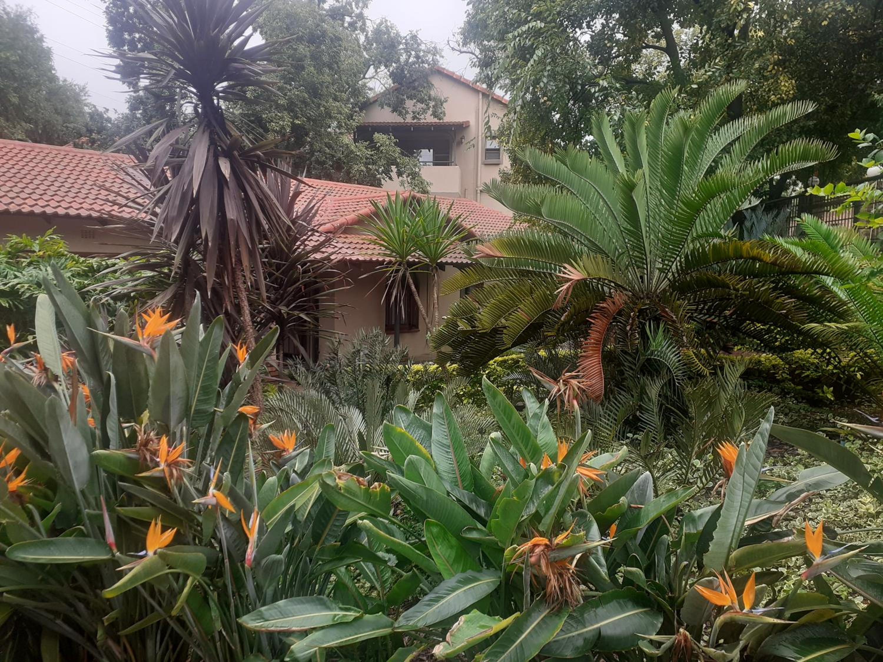 SereNight Guesthouse