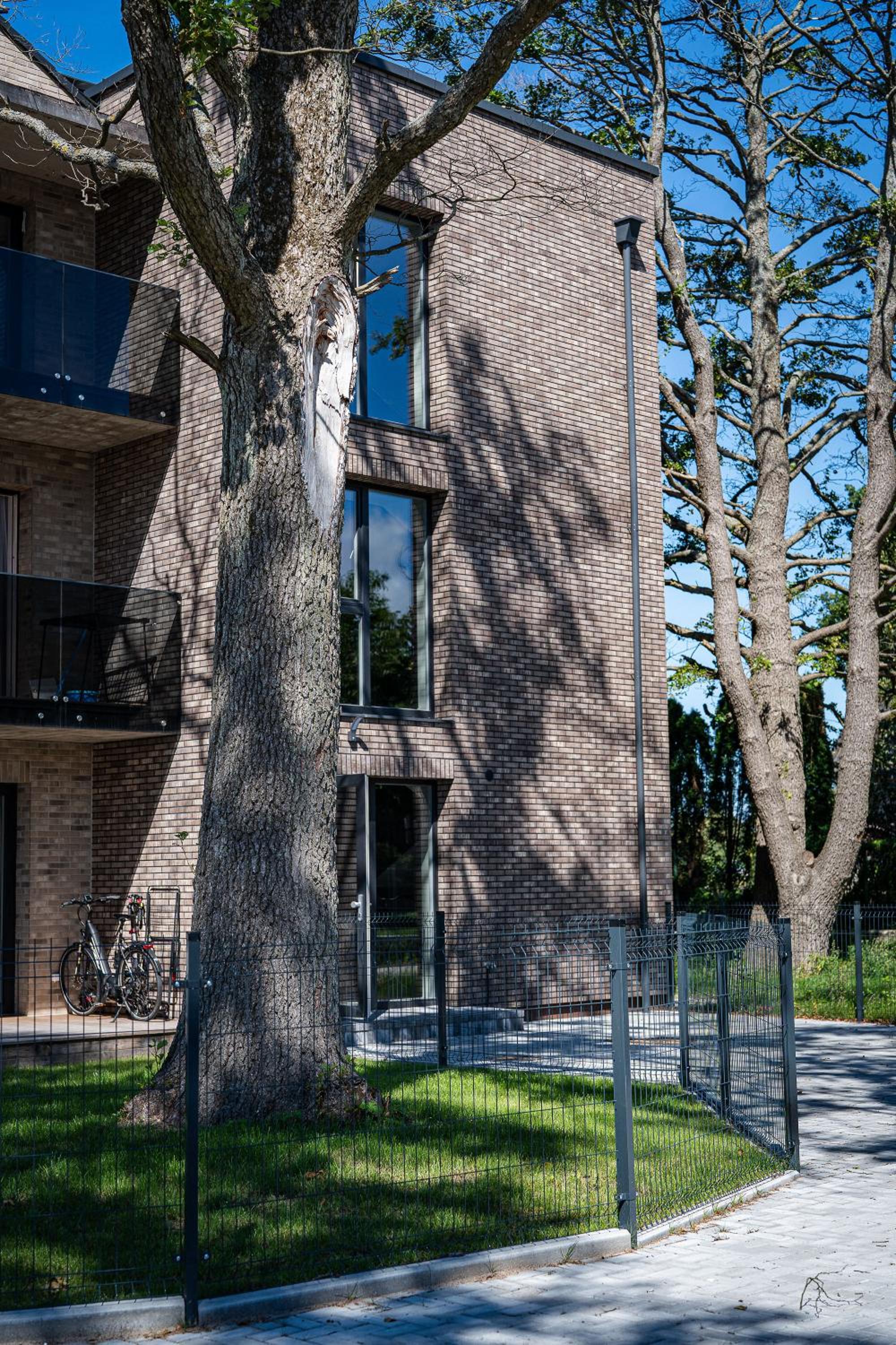 Luka Brown Palanga Apartment view 5