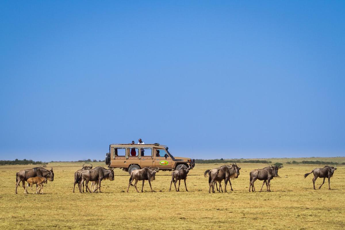 Mara Leisure Camp