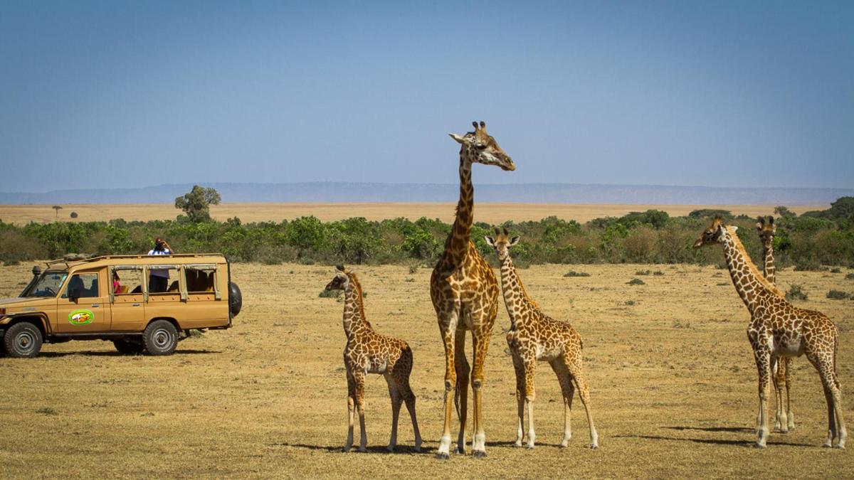 Mara Leisure Camp