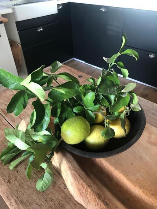 Marlborough Vacations - The Cricketers House - Property Image 30