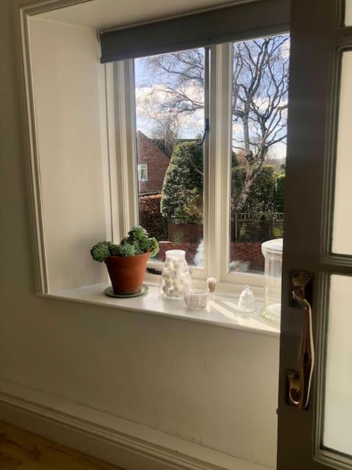 Marlborough Vacations - The Cricketers House - Property Image 44