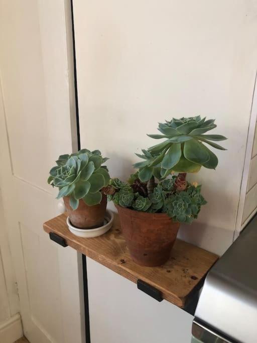 Marlborough Vacations - The Cricketers House - Property Image 47