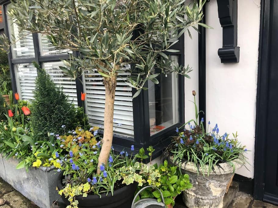 Marlborough Vacations - The Cricketers House - Property Image 4