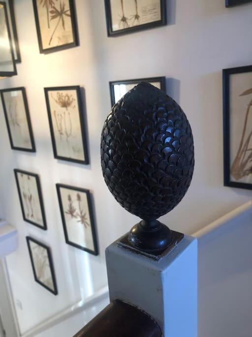 Marlborough Vacations - The Cricketers House - Property Image 8